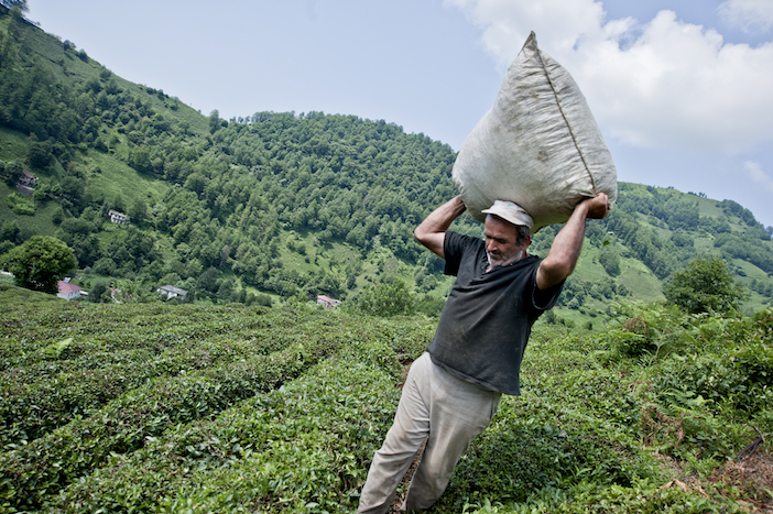 Համշէնահայերու նոյնականացումը